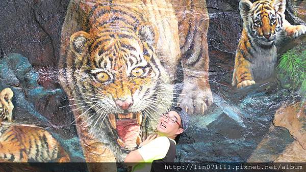 蘇維拉莊園