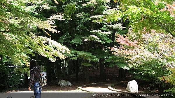 福壽山農場