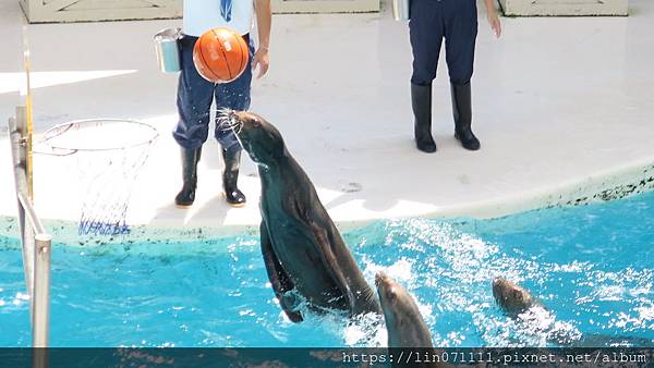 遠雄海洋公園