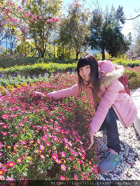 清境農場小瑞士花園