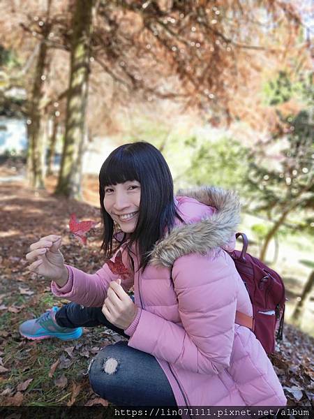 清境農場小瑞士花園