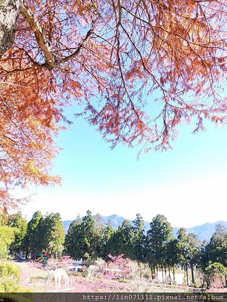 清境農場小瑞士花園