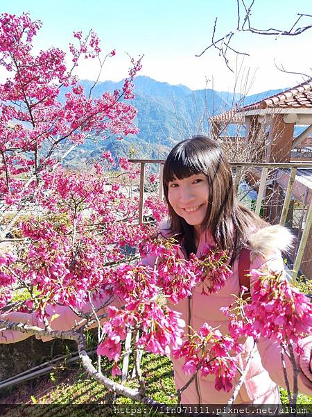 清境農場小瑞士花園