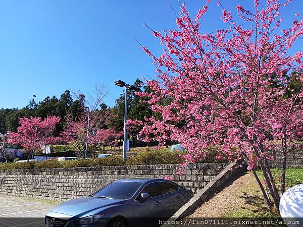 清境農場小瑞士花園