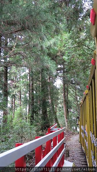 太平山蹦蹦車