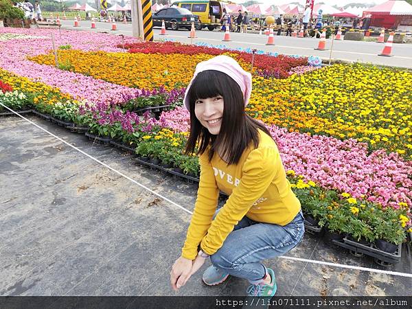 桃園彩色海芋季