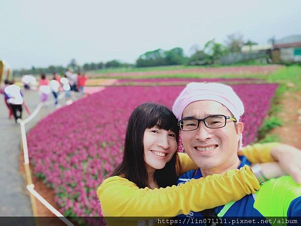 桃園彩色海芋季