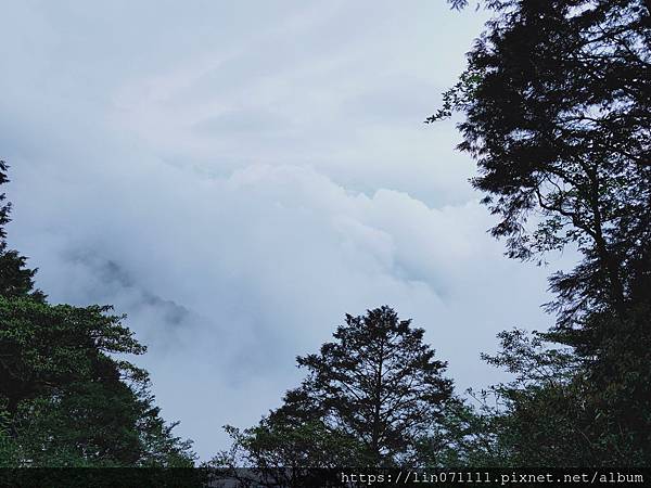 太平山見晴懷古步道