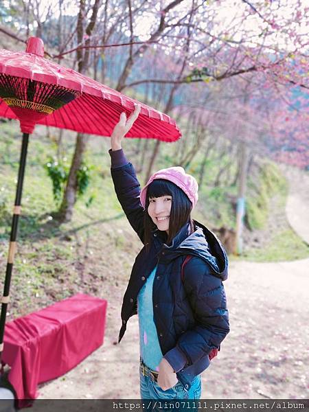 翠墨莊園