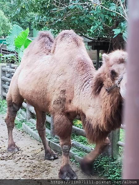 臺北市動物園