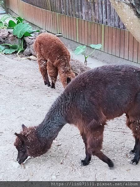 臺北市動物園