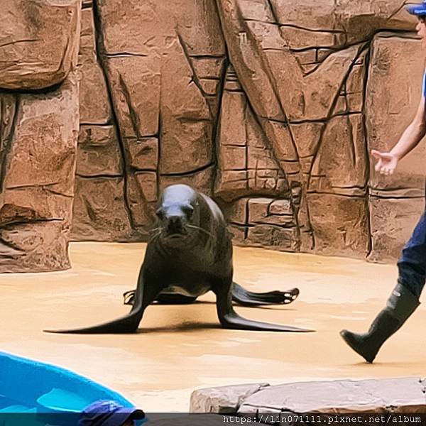 Xpark水族館