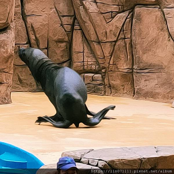 Xpark水族館