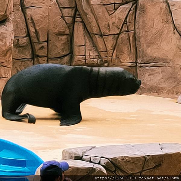 Xpark水族館