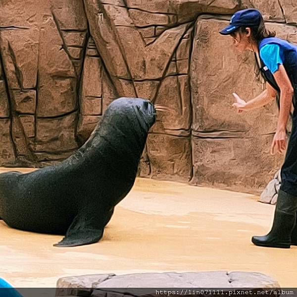 Xpark水族館