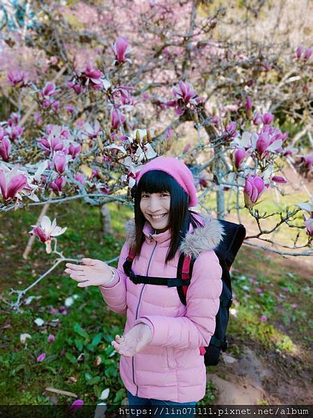 阿里山國家森林遊樂區