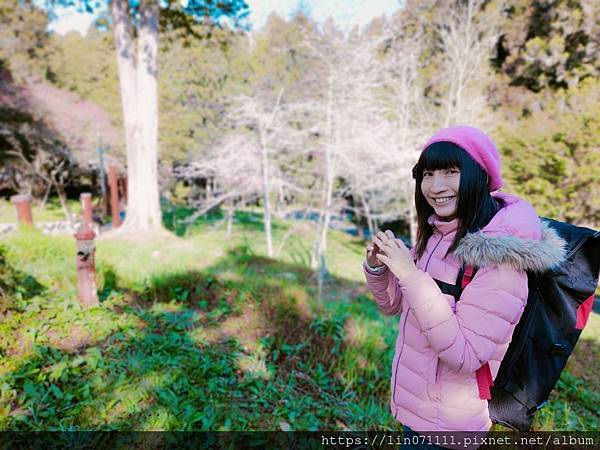 阿里山國家森林遊樂區