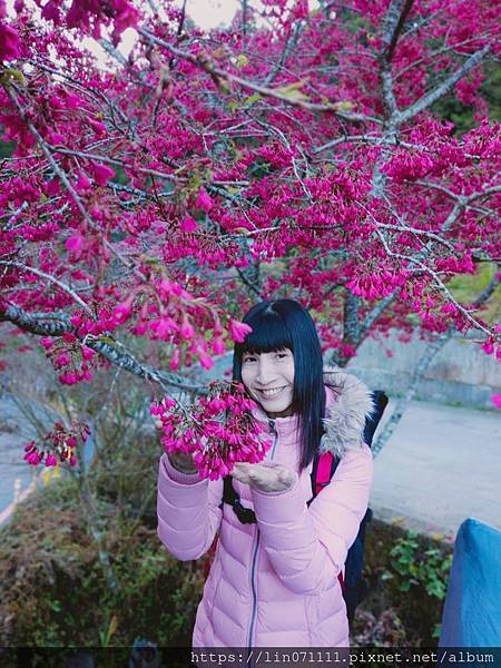 阿里山國家森林遊樂區