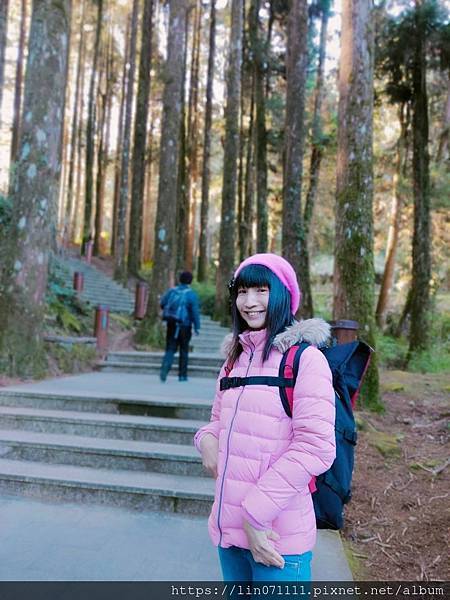 阿里山國家森林遊樂區