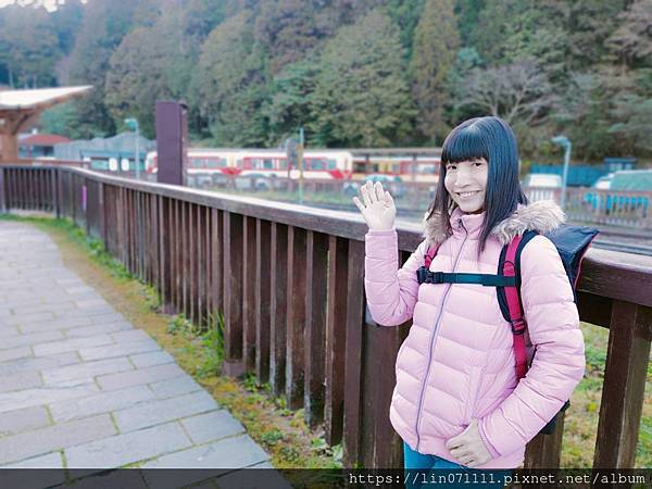 阿里山國家森林遊樂區