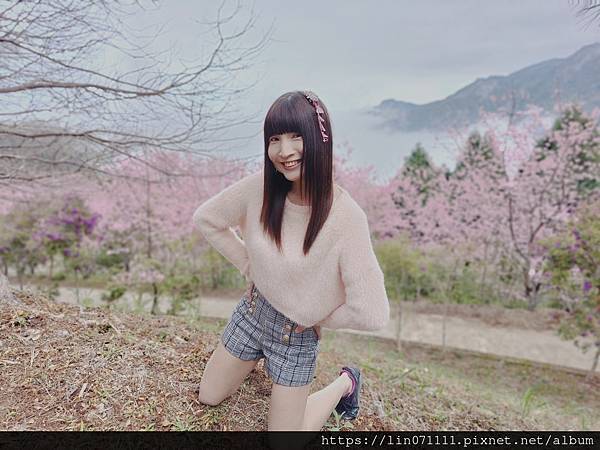 2024-02-24數碼天空景觀餐廳..森林步道IG打卡秘境