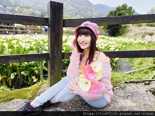 2024-03-09 陽明山「竹子湖海芋季」..網美必打卡.