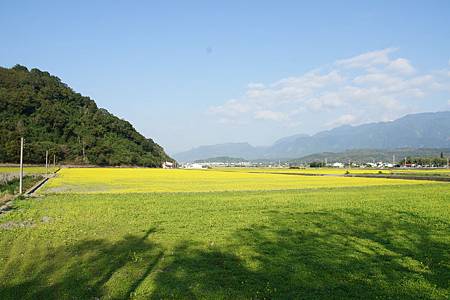 學田農場-復里廣原 (52).JPG