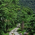 花蓮十街民宿佐倉步道_016