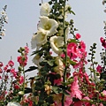 IMG_20140404_135839.jpg