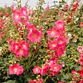 IMG_20140404_135819.jpg