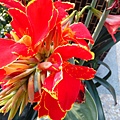 IMG_20140408_172219