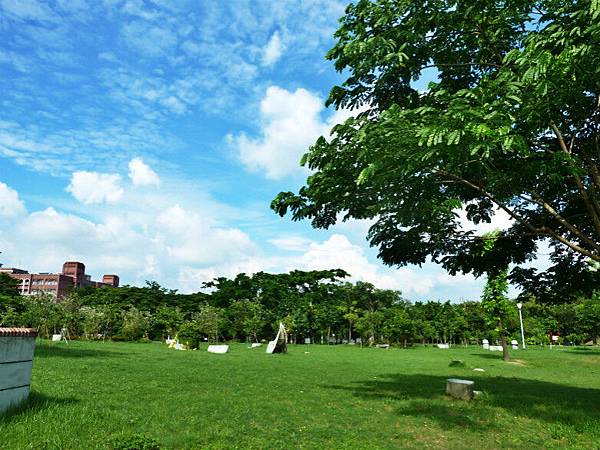 豐收與火龍果 064_meitu_1.jpg