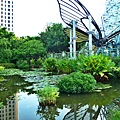 科博館植物園的早晨 001_meitu_1.jpg