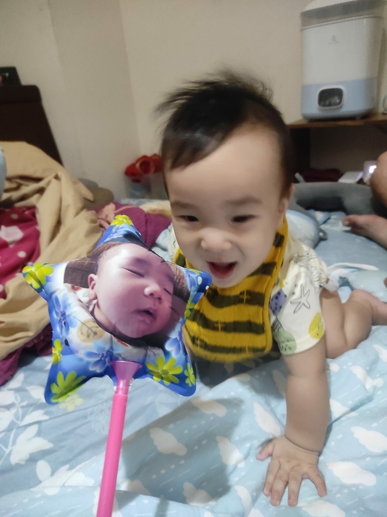 相片氣球只送不賣 自動閉氣防潑水照片氣球