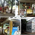 桃園楊梅埔心牧場5