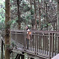 南投溪頭妖怪村咬人貓3