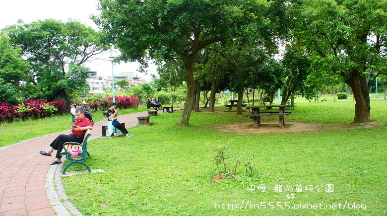 中壢龍岡萬坪公園8.jpg