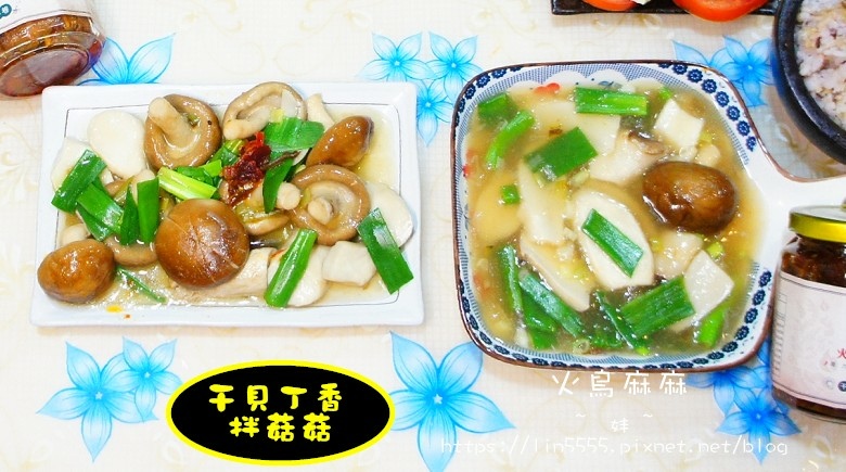 火鳥麻麻14.jpg