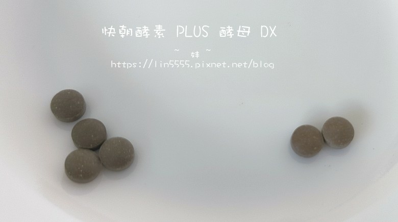 快朝酵素 PLUS 酵母 DX4.jpg