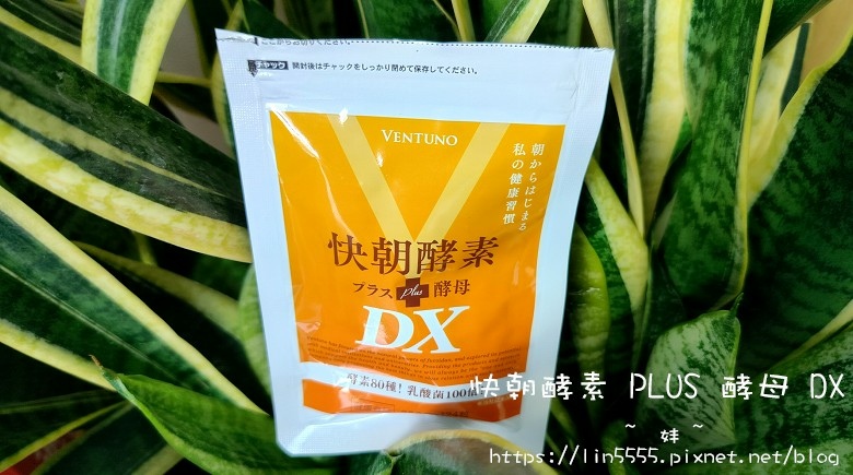 快朝酵素 PLUS 酵母 DX2.jpg