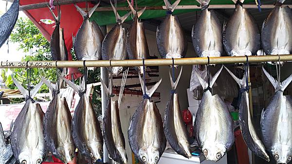 1060225 - 井仔腳瓦盤鹽田