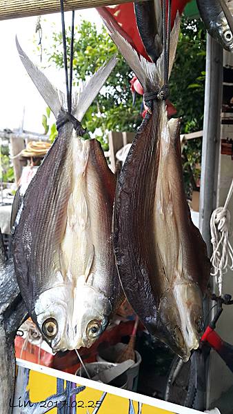 1060225 - 井仔腳瓦盤鹽田