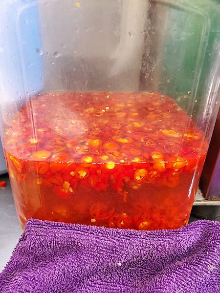 20250322 - 台中 - 苟不理天津湯包