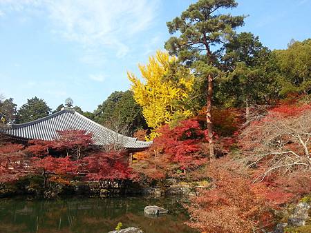 1127醍醐寺