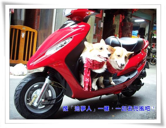 摩托車界的 Tiida 二人三犬 痞客邦