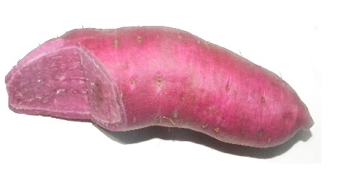 20131124開勤有機農場 紫番薯.jpg
