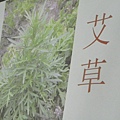 20131204青草藥介紹 (20) [800x600].JPG