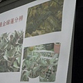20131204青草藥介紹 (25) [800x600].JPG