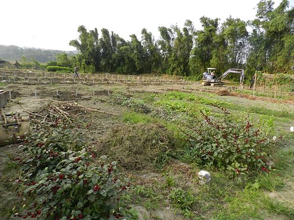 開勤有機農場動土典禮 (7).JPG