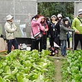 20140121建國國小中庄人文生態及有機哉種等導覽活動 (51).JPG